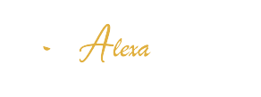 Alexa dashcam  white Logo